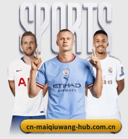 比分查询与赛事提醒 - maiqiuwang